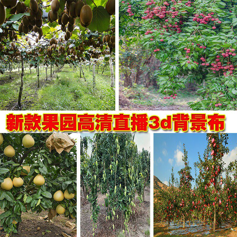 新款网红三农主播直播背景布果园水果直播带货挂画3d立体背景墙布