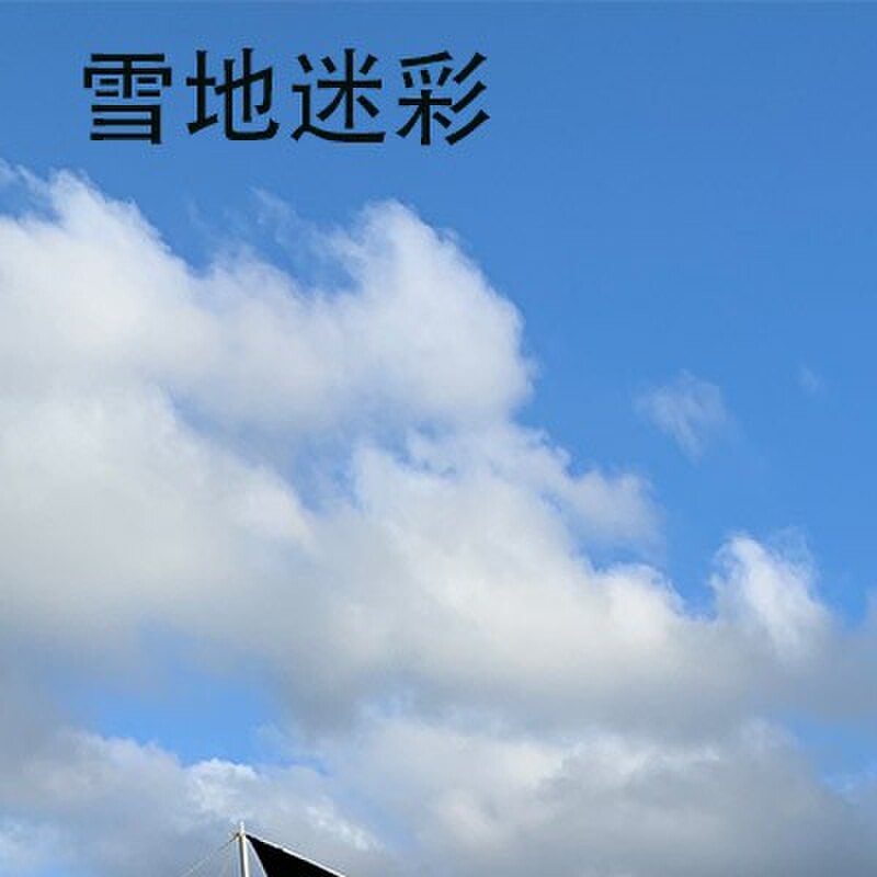 户外超大遮阳棚防暴雨 迷彩遮光天幕帐篷 加厚黑胶天幕布多人雨篷