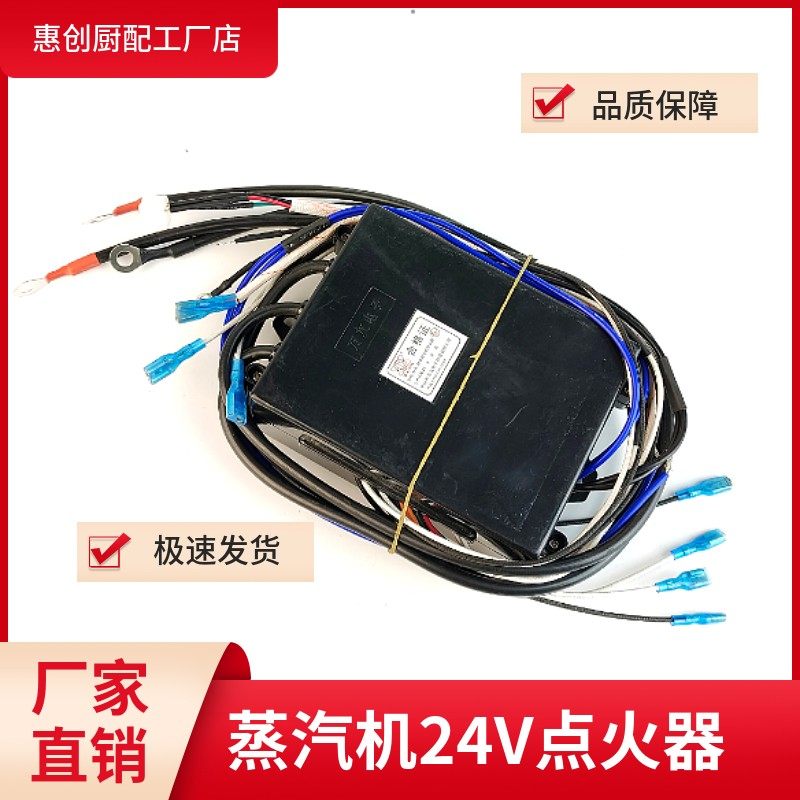 蒸汽机海鲜蒸炉24V双电磁阀脉冲点火器打火控制器电脑路配件