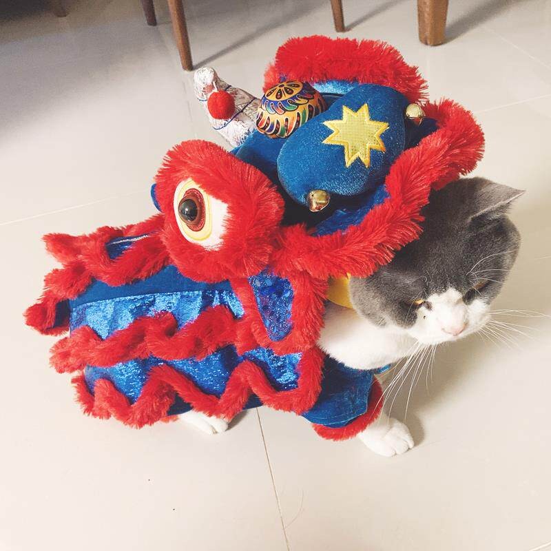 猫咪舞狮衣服宠物狗衣服柯基比熊过年喜庆舞狮子狗狗猫咪醒狮