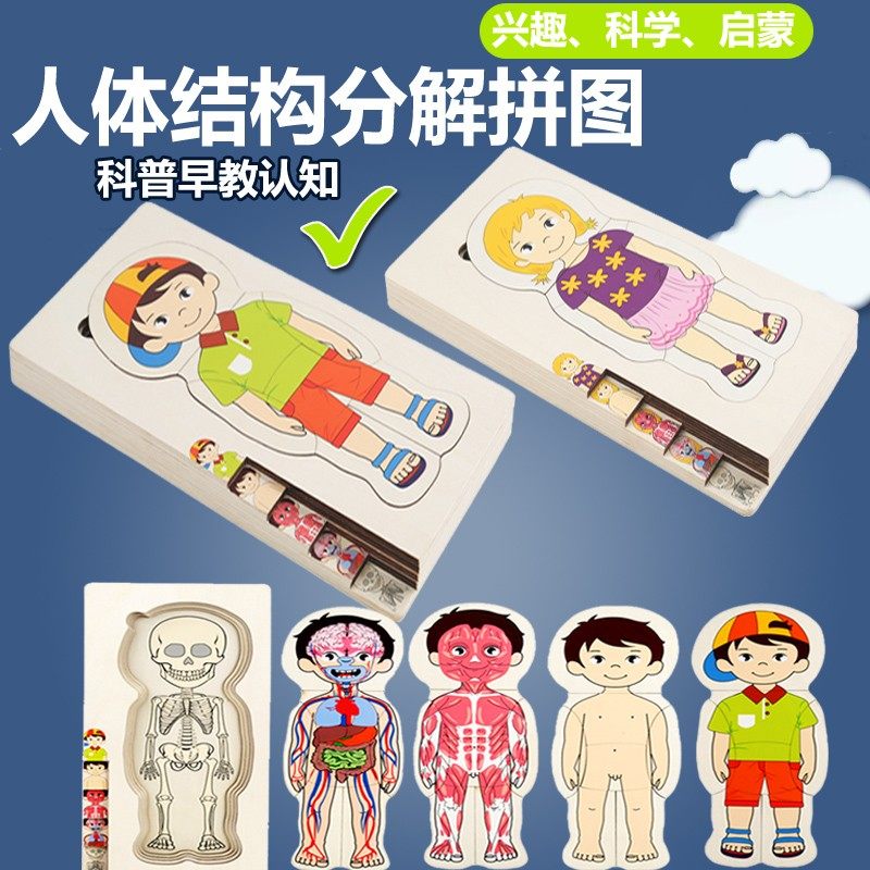蒙氏人体动物结构多层拼图教具器官认知男女孩益智3-6岁玩具