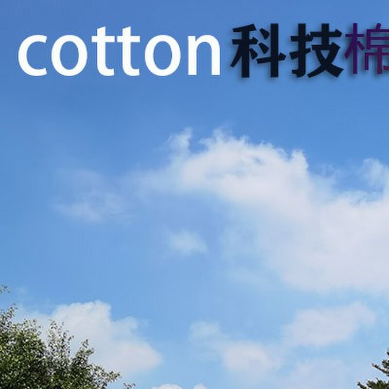 户外露营天幕遮阳棚科技棉布防水旅行帐篷铝合金杆雨棚加厚