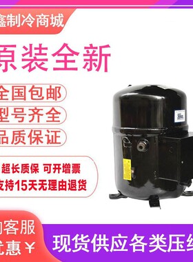 全新H2BG124DBEE H25G144DBEE H2NG184DPEF原装布里斯托压缩机