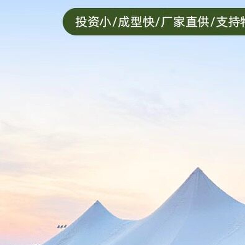 遮阳云顶万重山超大型三峯帐篷露营穹顶天幕八爪鱼单双峯莲花天幕