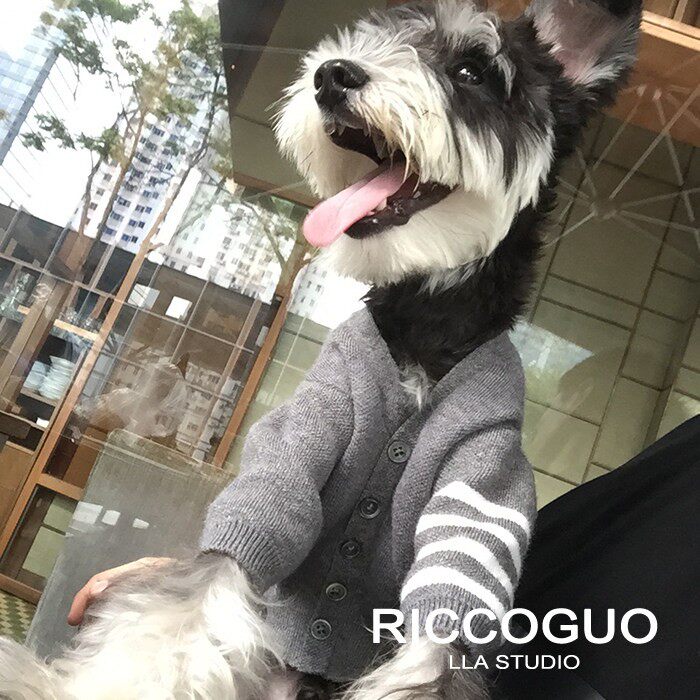 LLA 狗狗衣服tb针织衫泰迪雪纳瑞比熊博美韩国亲子衣服秋冬款潮牌