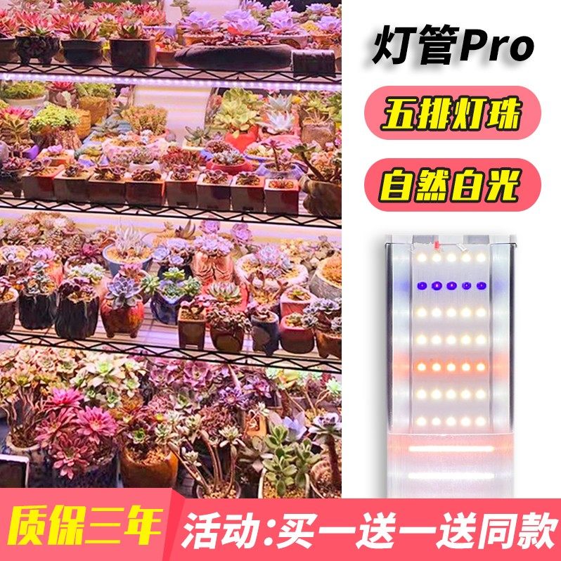 星锐全光谱多肉补光灯 仿太阳光 家用上色LED植物生长灯UVA紫外线