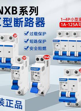 CHNT/正泰NXB小型断路器1P2P3P4P空气开关电闸保护器空开DZ47C型