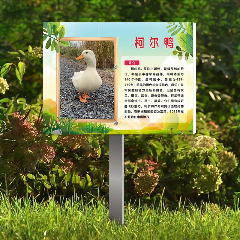 动物园简介介绍提示牌小动物介绍品名标识牌可定制户外插地牌动物