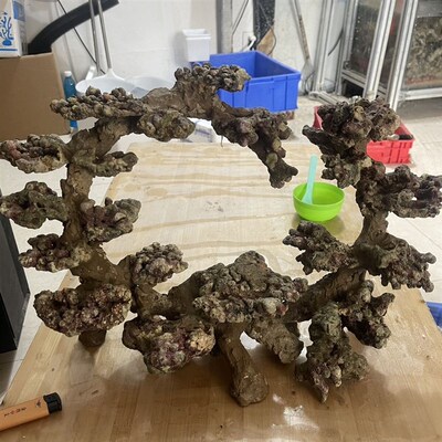 海水缸造景死石造景活石造景海水鱼三湖慈鲷珊瑚石活石假山纯天然