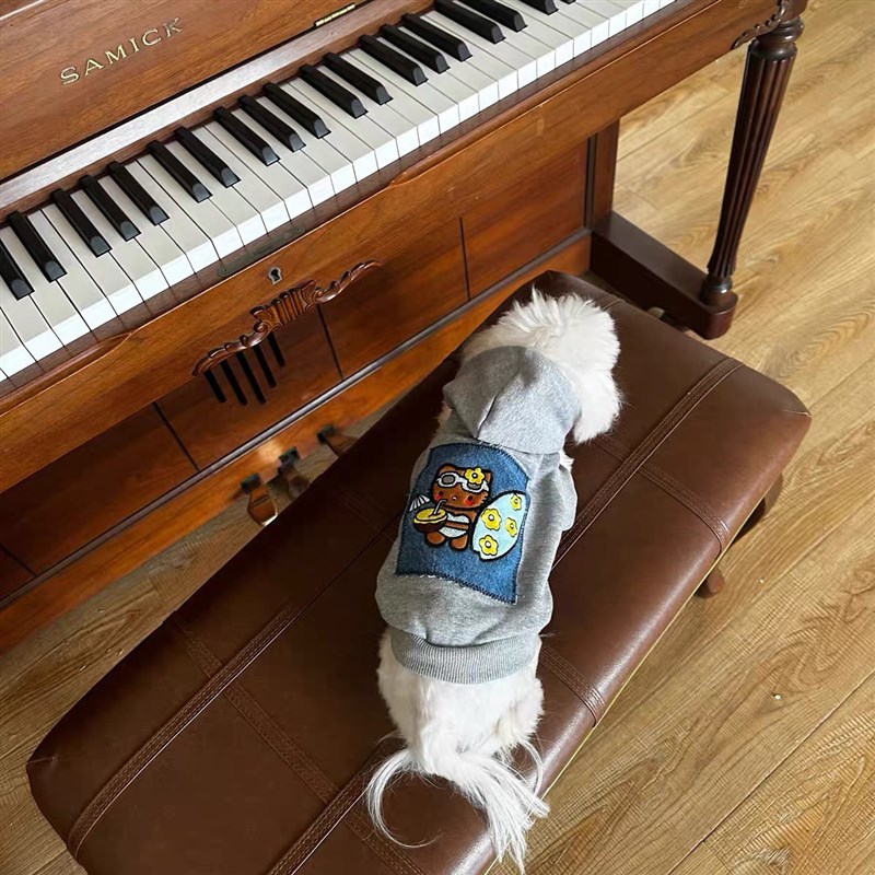 春秋款狗狗衣服宠物可爱连帽卫衣马尔济斯泰迪比熊小型犬猫咪帽衫