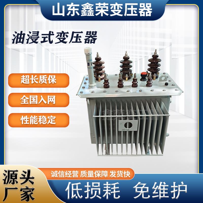 S13油浸式电力变压器厂家/三相工业10千伏变压器500千伏安变压器