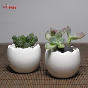 蛋壳小花盆模具迷你北欧多肉花盆模具硅胶自制立体盆栽小水泥模具