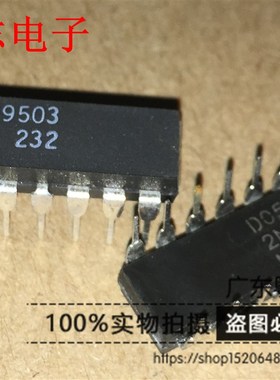 粤志电子 99503 全新原装进口 DIP-14脚直插 实物实拍