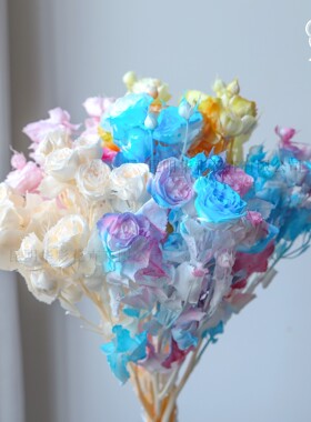 永生花玫瑰花多头玫瑰新品diy材料 高级感成品手工材料花材