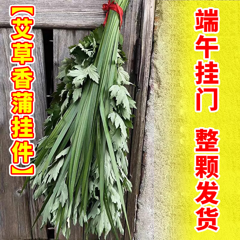 端午节新鲜艾草青艾整棵端午插门窗艾蒿泡澡儿童艾浴花材礼品花束