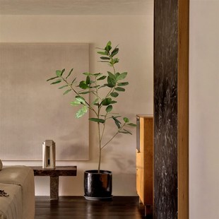 森空间仿真绿植高山榕孟加拉榕室内客厅假树装饰落地