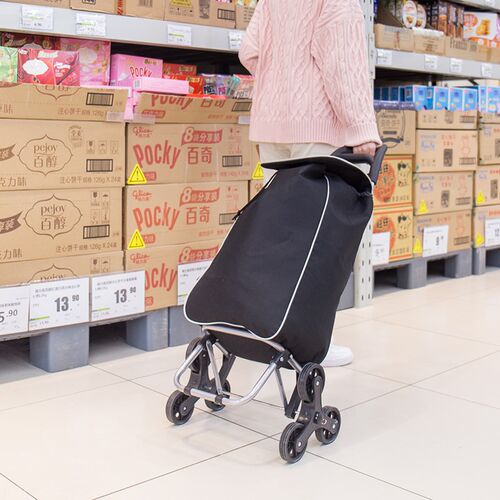 行李袋带滑轮拉杆包女轻便大容量短途旅游登机箱男旅行