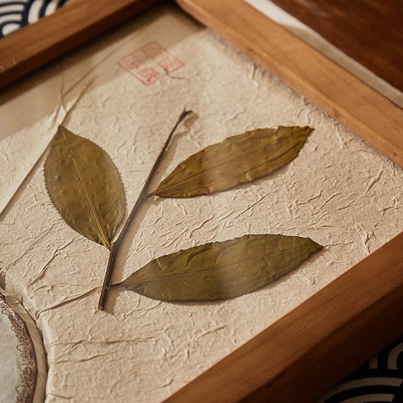 直销相框茶饼包装盒普洱茶饼展示架实木饼装饰礼盒老白茶存放盒