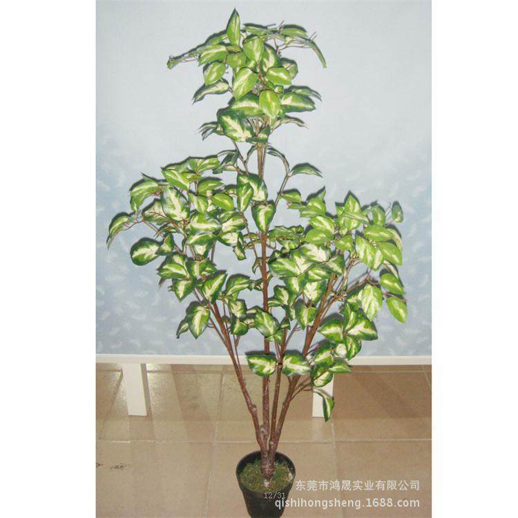 仿真咖啡树 室内外装饰餐厅咖啡厅商场摆设绿化植物厂家直销定制,家居饰品,仿真植物盆景,淘宝优惠券,粉丝福利购,淘宝优惠卷