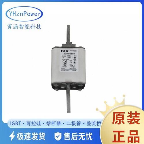 170M5808 170M5809 170M5810现货 快速熔断器保险丝熔管