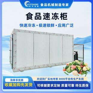 鱼类小型速冻机 商用小型海鲜超低温速冻柜