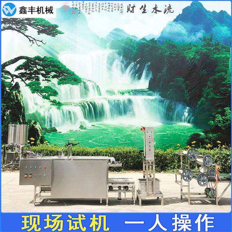 豆腐皮双剥皮机设备 大型豆腐皮机生产视频 技术一对一教学