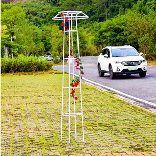 304不锈钢铁艺花架升级爬藤花架伞型蘑菇头户外庭院攀爬支架 新款