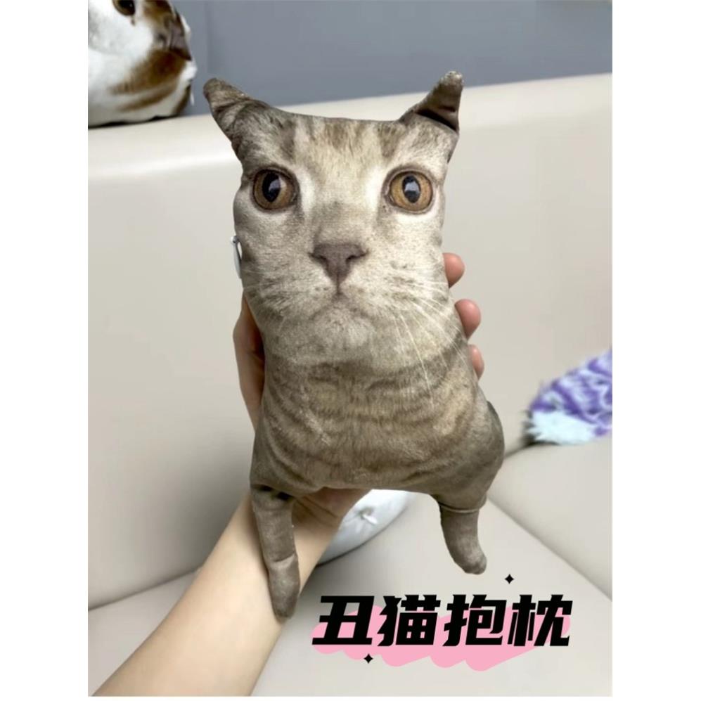 丑猫抱枕玩偶定制无白边猫咪无描边宠物照片diy来图定做异形靠枕