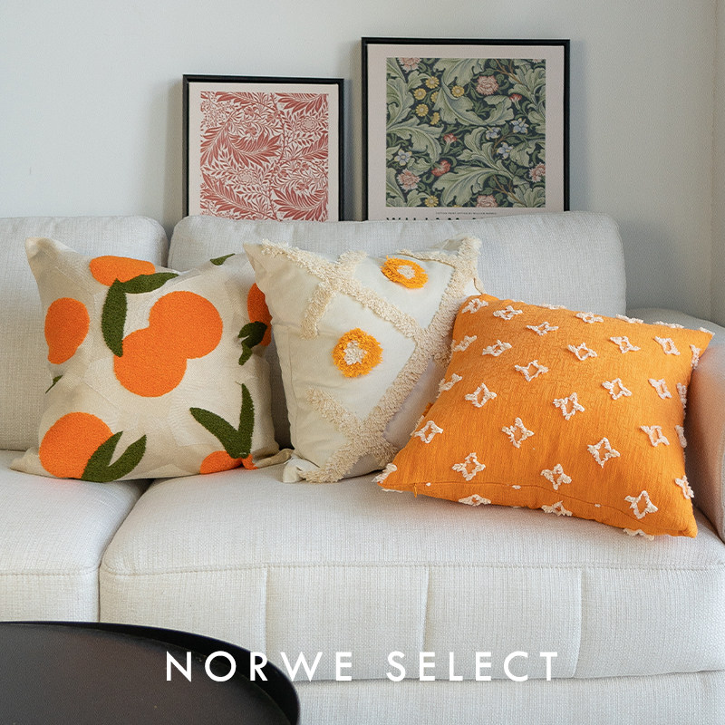 抱枕沙发客厅卧室靠枕可爱风枕套刺绣枕套可拆洗靠背床头靠垫ins