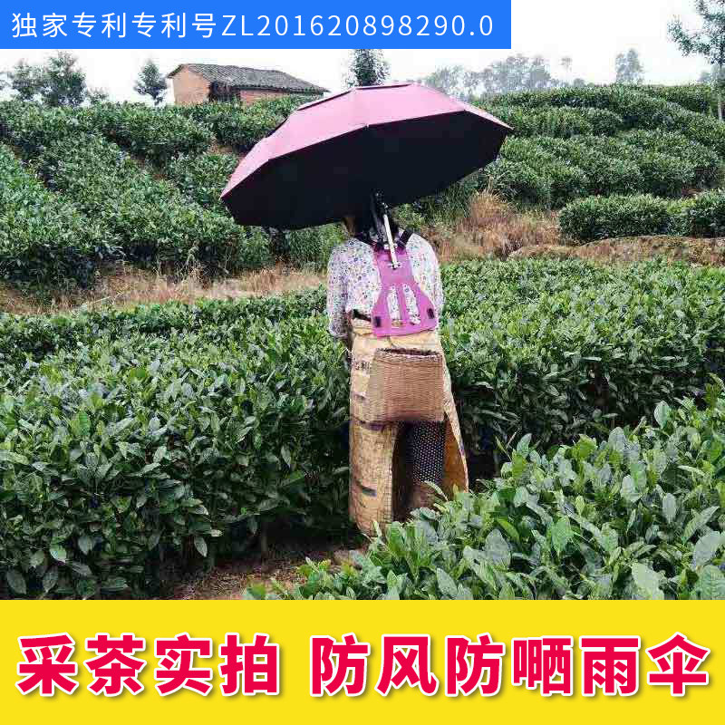 采茶伞太阳伞f可背式遮阳伞讨茶伞钓鱼伞黑胶两用雨伞超大防晒伞