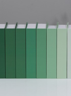 颜色渐变假书装饰书摆件样板间书柜道具模型吧台仿真书颜色可定制