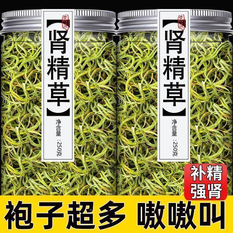 肾精草长白山野生化石草肾精茶肾茶吉林东北黄金草嗷嗷叫肾草药茶