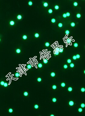 荧光微球聚苯乙烯荧光微球聚苯乙烯微球绿色