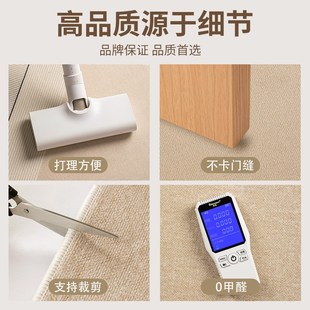 入户门地垫纯色地毯仿剑麻门垫进门大门口玄关客厅可裁剪脚垫家用