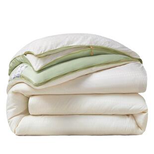 子母被二合一拉链款 2023新款 被子冬被加厚保暖棉被双胞胎字母被芯