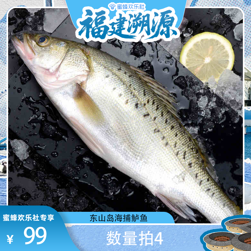 【福建溯源专场】海捕海鲈鱼新鲜鲈鱼速冻锁鲜冷海鲜