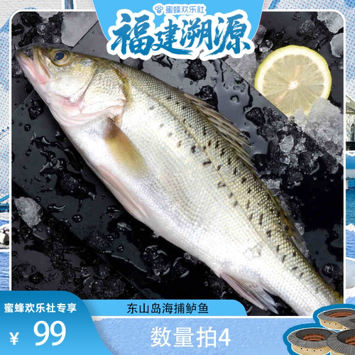 【福建溯源专场】海捕海鲈鱼新鲜鲈鱼速冻锁鲜冷海鲜