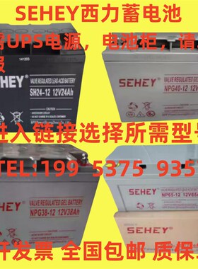 SEHEY西力蓄电池NP-12V7AH12A20A24A38A40A65A100AH 消防主机 UPS