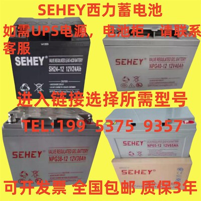 SEHEY西力蓄电池NP-12V7AH12A20A24A38A40A65A100AH 消防主机 UPS