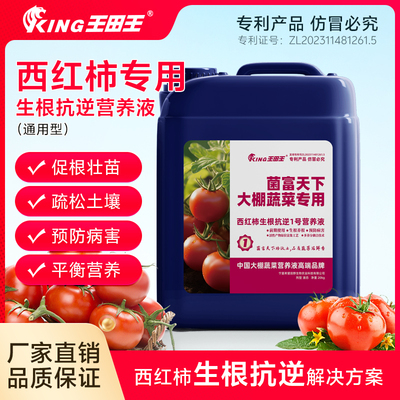 王田王西红柿番茄专用肥桶装冲施肥正品农用膨果增甜有机水溶肥料