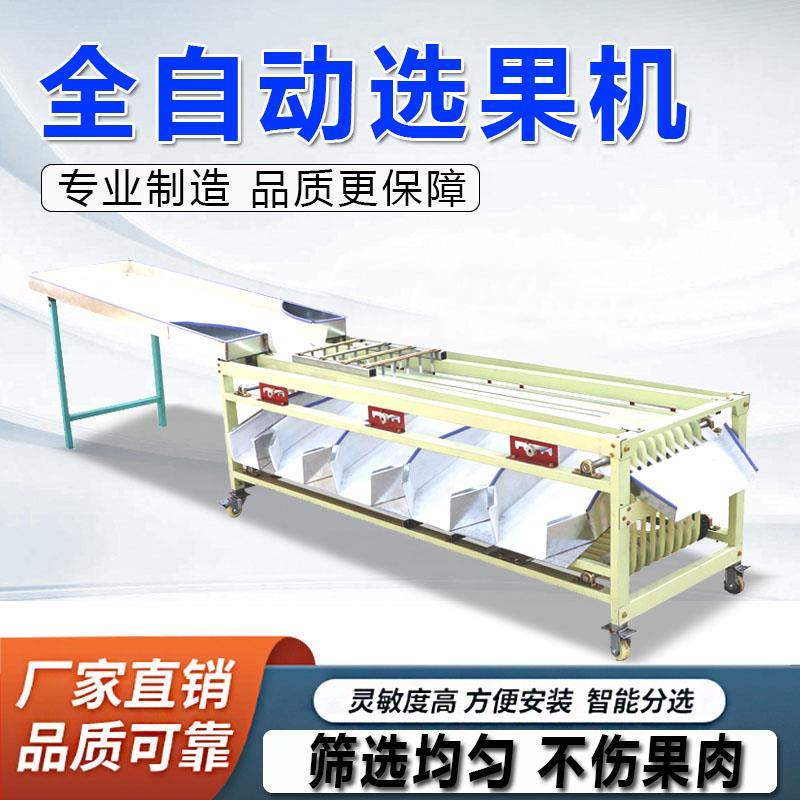 新款全自动选果机商业水果机选果机分类机分拣机 全自动筛选机