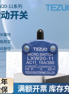 微动开关行程开关自复位限位LXW20-11M磁吹推压塞柱型一开一闭CSK