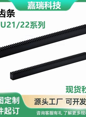 齿条VNU21/22/26-1.0/1.5/2.0-100/300/500/1000-GA/GB/GD/GF/GP