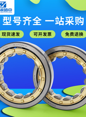 圆柱滚子轴承N NU NJ2313 2314 2315 2316 2317 2318 2319 2320EM
