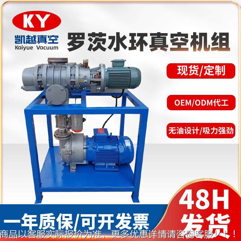 定制罗茨水环真空机组电池厂专用抽真空设备机械密封罗茨泵机组
