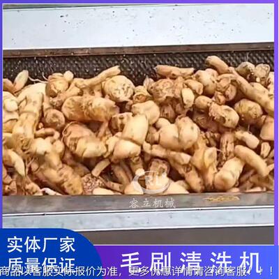 毛刷豆土皮泥清洗NBQ机扇贝生蚝去毛刷清洗机生姜净去菜成套设备