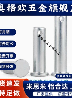 SHCMG/SHCLGN/MIB06 21-D3 4 5 6 8 10 12 14 16 18 20-L12铰链销