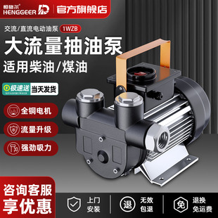 电动抽油泵12V24V220V通用柴油泵小型加油泵自吸泵抽油机抽油神器