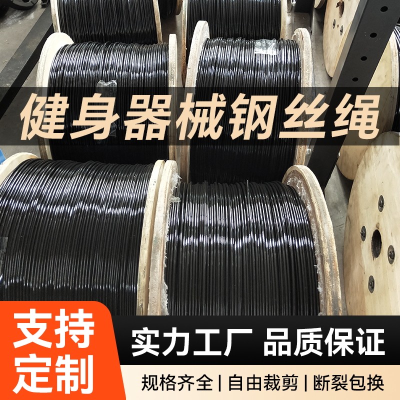 耐磨钢丝绳索大飞鸟训练图片