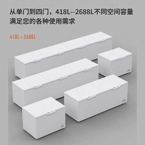 恩典商用大冰柜卧式家用节能冷柜冷冻柜冷藏柜保鲜速冻柜